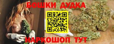 тгк Будённовск